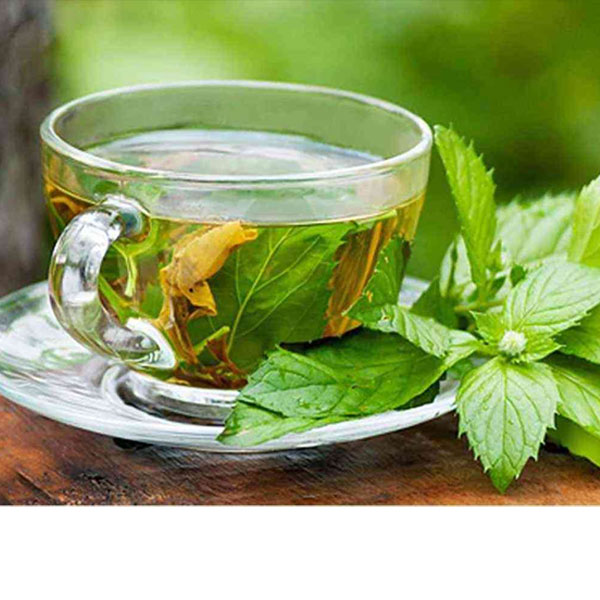شاى اخضر – green tea